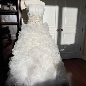 Bridal (Wedding) embellished Dress Gown